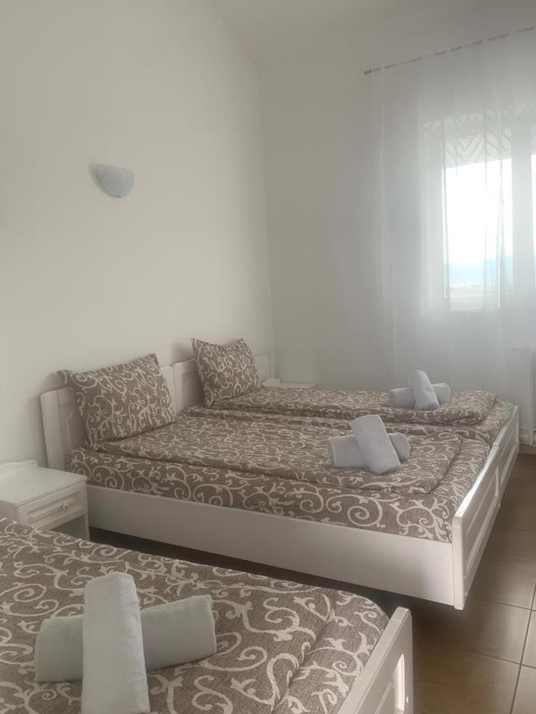 Sebeş Motel Dacia מראה חיצוני תמונה