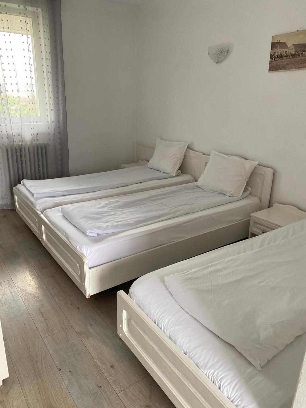 Sebeş Motel Dacia מראה חיצוני תמונה