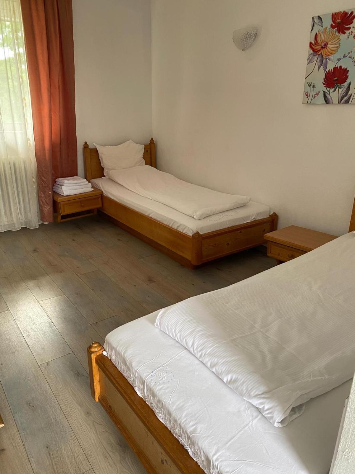 Sebeş Motel Dacia מראה חיצוני תמונה